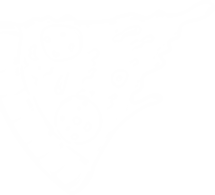footer-shape1