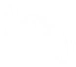 footer-shape2