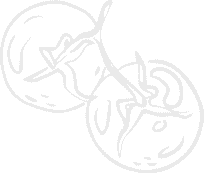 shape12